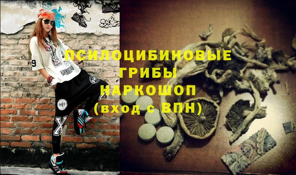 прущий лед Алексин