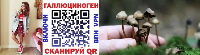 Псилоцибиновые грибы Psilocybine cubensis Челябинск