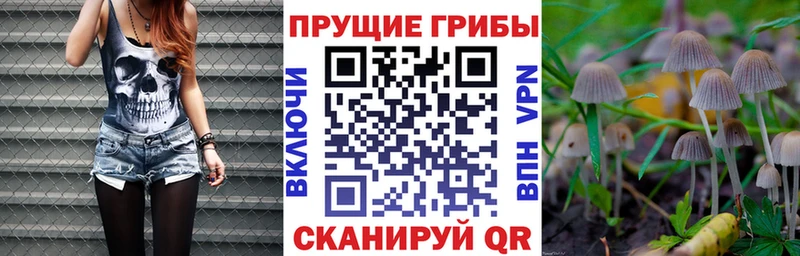 Галлюциногенные грибы Psilocybe  Челябинск 